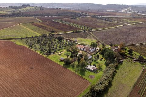 Granja a Borba, Evora, Borba - € 600.000 | Ref: 2492 - foto 46