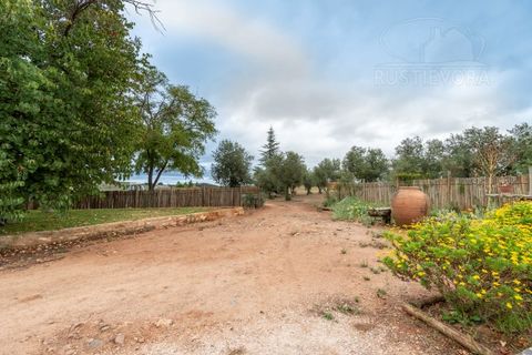 Granja a Borba, Evora, Borba - € 600.000 | Ref: 2492 - foto 45