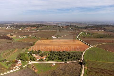 Granja a Borba, Evora, Borba - € 600.000 | Ref: 2492 - foto 47