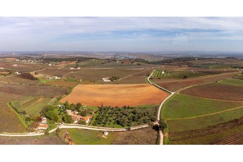 Granja a Borba, Evora, Borba - € 600.000 | Ref: 2492 - foto 48