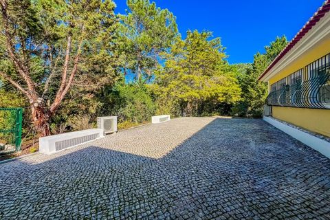 Villa i Quinta do Conde, Setubal, Quinta do Conde - € 2.750.000 | Ref: MORMA185 - foto 49