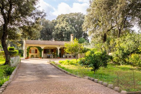 Villa i Pollenca, Mallorca, Pollenca - € 750.000 | Ref: POL40890 - foto 2