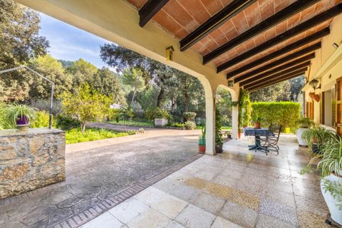 Villa i Pollenca, Mallorca, Pollenca - € 750.000 | Ref: POL40890 - foto 3