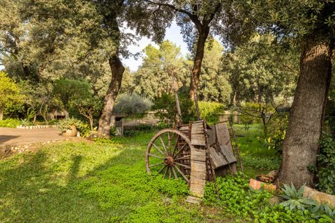 Villa i Pollenca, Mallorca, Pollenca - € 750.000 | Ref: POL40890 - foto 12
