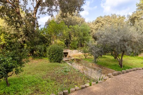 Villa i Pollenca, Mallorca, Pollenca - € 750.000 | Ref: POL40890 - foto 13