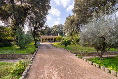 Villa i Pollenca, Mallorca, Pollenca - € 750.000 | Ref: POL40890 - foto 15