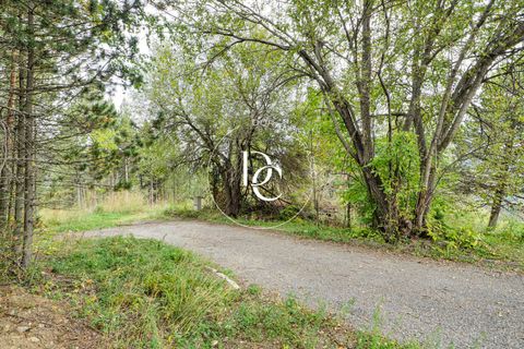 Terra a Alp, Gerona, Alp - € 160.000 | Ref: 5742 - foto 11