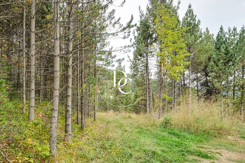 Terra a Alp, Gerona, Alp - € 160.000 | Ref: 5742 - foto 14