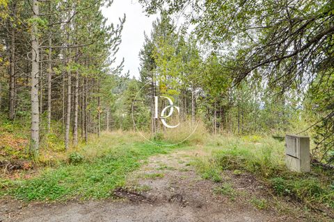 Terra a Alp, Gerona, Alp - € 160.000 | Ref: 5742 - foto 15
