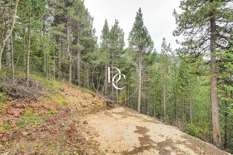 Terra a Alp, Gerona, Alp - € 160.000 | Ref: 5742 - foto 19
