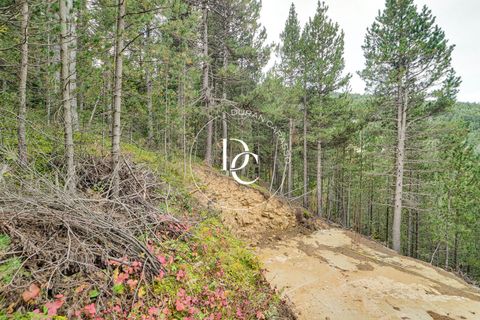 Terra a Alp, Gerona, Alp - € 160.000 | Ref: 5742 - foto 20