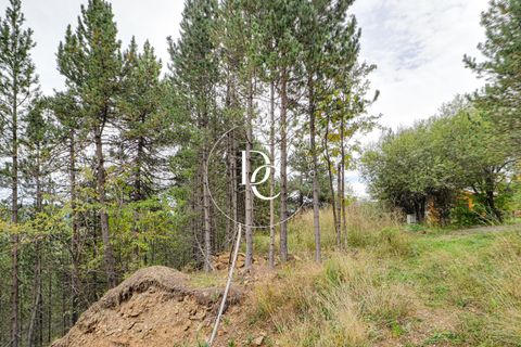 Terra a Alp, Gerona, Alp - € 160.000 | Ref: 5742 - foto 21