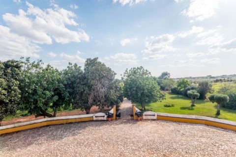 Farm i Estremoz, Evora, Estremoz - € 1.050.000 | Ref: AG042 - foto 19