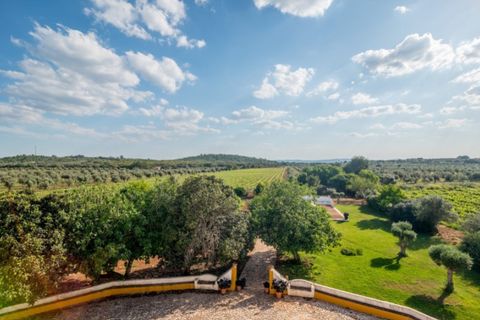 Farm i Estremoz, Evora, Estremoz - € 1.050.000 | Ref: AG042 - foto 23