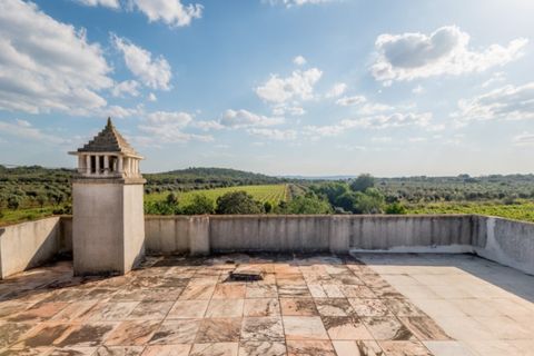 Farm i Estremoz, Evora, Estremoz - € 1.050.000 | Ref: AG042 - foto 24