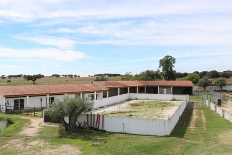 Farm i Elvas, Portalegre, Elvas - € 1.390.000 | Ref: SG008 - foto 15