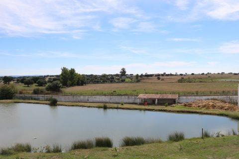 Farm i Elvas, Portalegre, Elvas - € 1.390.000 | Ref: SG008 - foto 17
