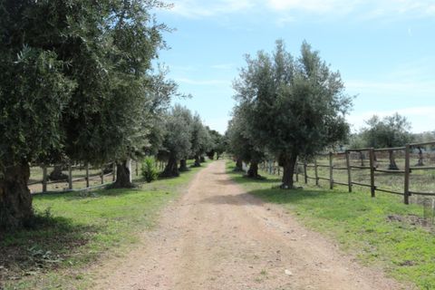 Farm i Elvas, Portalegre, Elvas - € 1.390.000 | Ref: SG008 - foto 19