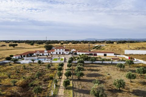 Farm i Elvas, Portalegre, Elvas - € 1.390.000 | Ref: SG008 - foto 2