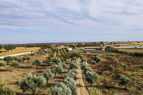 Farm i Elvas, Portalegre, Elvas - € 1.390.000 | Ref: SG008 - foto 6