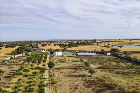 Farm i Elvas, Portalegre, Elvas - € 1.390.000 | Ref: SG008 - foto 7