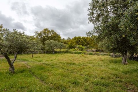 Ruïna a Castelo de Vide, Portalegre, Castelo de Vide - € 135.000 | Ref: SG006 - foto 2