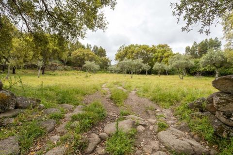 Ruïna a Castelo de Vide, Portalegre, Castelo de Vide - € 135.000 | Ref: SG006 - foto 3