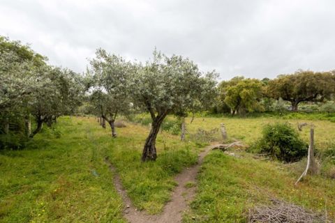 Ruïna a Castelo de Vide, Portalegre, Castelo de Vide - € 135.000 | Ref: SG006 - foto 5