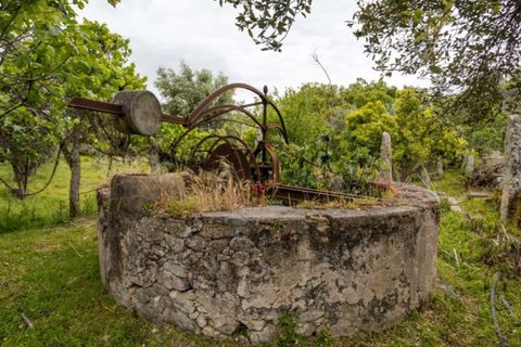 Ruïna a Castelo de Vide, Portalegre, Castelo de Vide - € 135.000 | Ref: SG006 - foto 8
