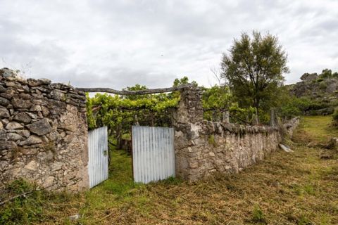 Ruïna a Castelo de Vide, Portalegre, Castelo de Vide - € 135.000 | Ref: SG006 - foto 11