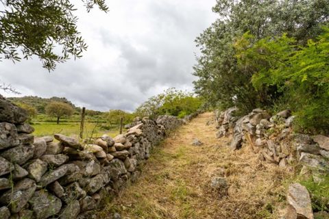Ruïna a Castelo de Vide, Portalegre, Castelo de Vide - € 135.000 | Ref: SG006 - foto 12