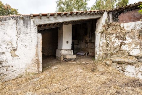 Ruïna a Castelo de Vide, Portalegre, Castelo de Vide - € 135.000 | Ref: SG006 - foto 16
