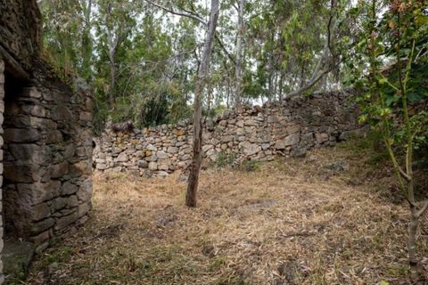 Ruïna a Castelo de Vide, Portalegre, Castelo de Vide - € 135.000 | Ref: SG006 - foto 30