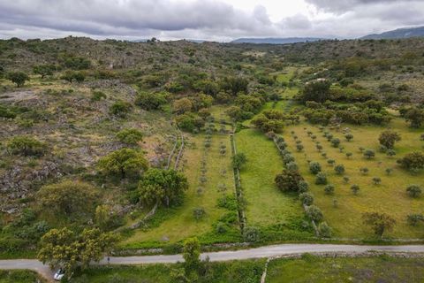 Ruïna a Castelo de Vide, Portalegre, Castelo de Vide - € 135.000 | Ref: SG006 - foto 32