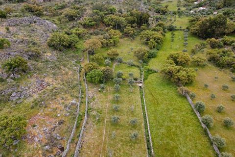 Ruïna a Castelo de Vide, Portalegre, Castelo de Vide - € 135.000 | Ref: SG006 - foto 34
