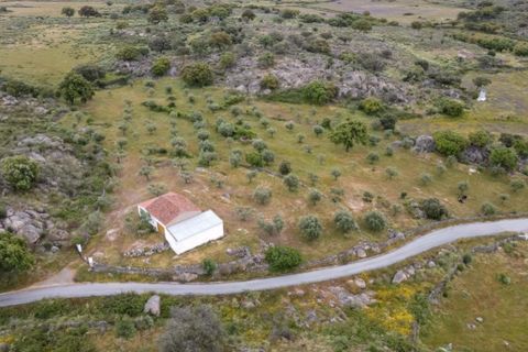 Farm i Castelo de Vide, Portalegre, Castelo de Vide - € 115.000 | Ref: SG004 - foto 1