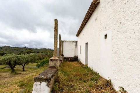 Farm i Castelo de Vide, Portalegre, Castelo de Vide - € 115.000 | Ref: SG004 - foto 5