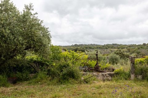 Farm i Castelo de Vide, Portalegre, Castelo de Vide - € 115.000 | Ref: SG004 - foto 13