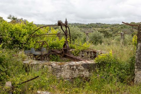 Farm i Castelo de Vide, Portalegre, Castelo de Vide - € 115.000 | Ref: SG004 - foto 14