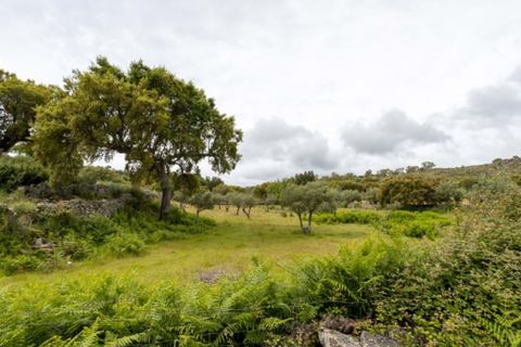 Farm i Castelo de Vide, Portalegre, Castelo de Vide - € 115.000 | Ref: SG004 - foto 17