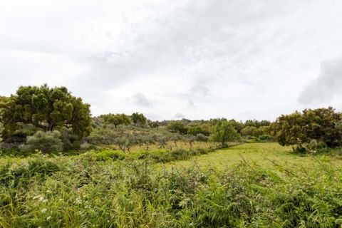 Farm i Castelo de Vide, Portalegre, Castelo de Vide - € 115.000 | Ref: SG004 - foto 18