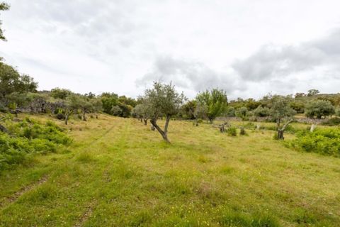 Farm i Castelo de Vide, Portalegre, Castelo de Vide - € 115.000 | Ref: SG004 - foto 20