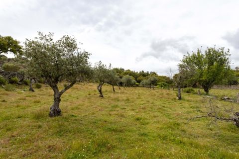 Farm i Castelo de Vide, Portalegre, Castelo de Vide - € 115.000 | Ref: SG004 - foto 21