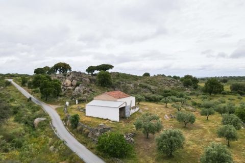Farm i Castelo de Vide, Portalegre, Castelo de Vide - € 115.000 | Ref: SG004 - foto 22