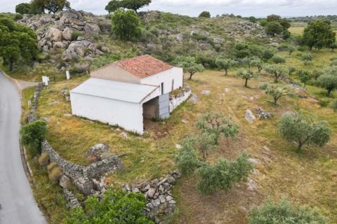 Farm i Castelo de Vide, Portalegre, Castelo de Vide - € 115.000 | Ref: SG004 - foto 23