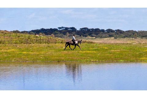 Farm i Ourique, Beja, Ourique - € 1.800.000 | Ref: TGFHAT2158 - foto 2