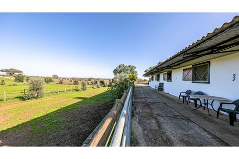 Farm i Ourique, Beja, Ourique - € 1.800.000 | Ref: TGFHAT2158 - foto 18