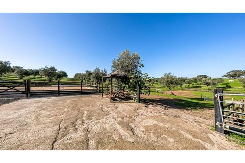 Farm i Ourique, Beja, Ourique - € 1.800.000 | Ref: TGFHAT2158 - foto 19