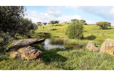 Farm i Ourique, Beja, Ourique - € 1.800.000 | Ref: TGFHAT2158 - foto 20