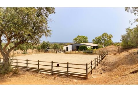 Farm i Ourique, Beja, Ourique - € 1.800.000 | Ref: TGFHAT2158 - foto 21